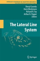 Lateral Line System