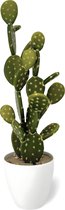 Grote Kunstplant Cactus 53 cm