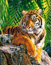 Diamond painting tijger 40x50 vierkante steentjes