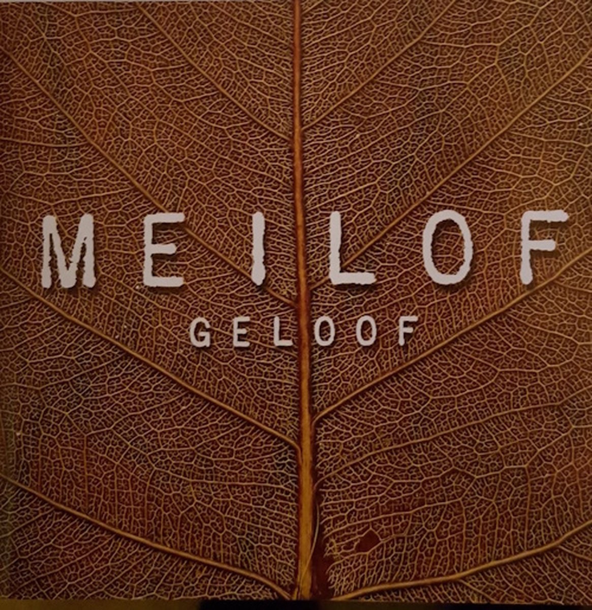 Geloof