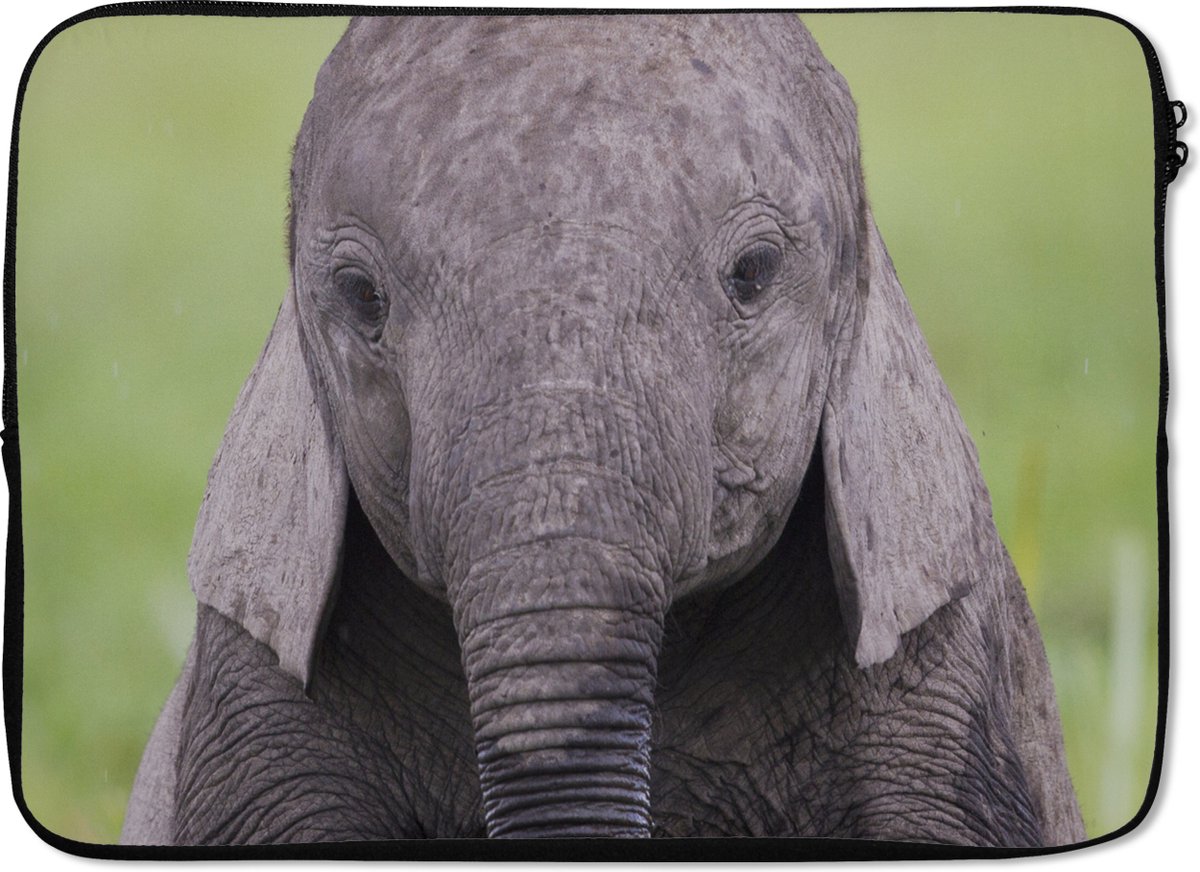 Laptophoes 14 inch - Olifant - Baby - Dieren - Gras - Natuur - Laptop sleeve - Binnenmaat 33x23 cm - Zwarte achterkant