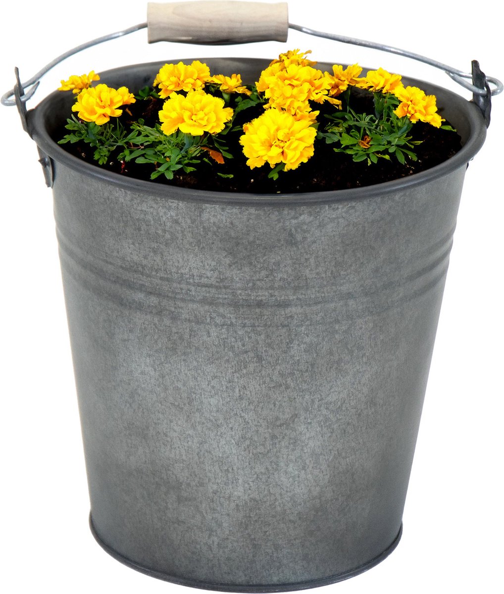 Goedkoopste Mega Collections Emmer/plantenpot/bloempot Eddy - zink - vintage antraciet - D18 X H18 cm