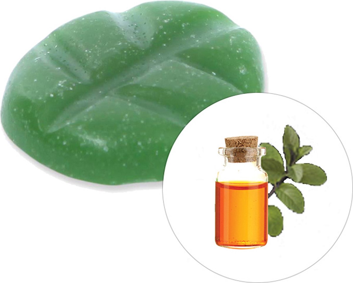 Scentchips® Musk & Patchouli - Geurblokjes - Huisparfum - Geurchips - Waxmelts - Geschikt voor Geurbrander en Waxbrander - XXL - 144 Stuks