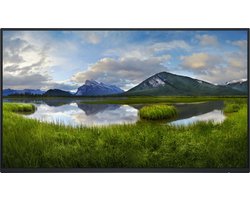 DELL 24 Monitor P2425H 23.8inch