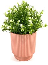 Lucy’s Living Luxe Bloempot STRIPE roze – ø 14 x 14 cm - binnen – buiten – luxe – accessoires – tuin – decoratie – bloemen - aardewerk - planten - plantenhouder