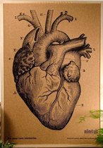 Milimetrado - Anatomisch Hart Prikbord - Kurk met Houten Frame - Naturel/Zwart - 70x50 cm