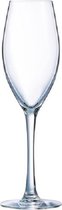 Felicity - Champagneglas - Transparant - 22cl - Glas - (set van 6)