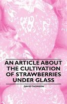 An Article About the Cultivation of Strawberries Under Glass