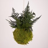 Onderhoudsvrije Kokedama - moskleur: Spring Green - afm. 13 cm - groene varen