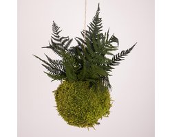 Onderhoudsvrije Kokedama - moskleur: Spring Green - afm. 13 cm - groene varen