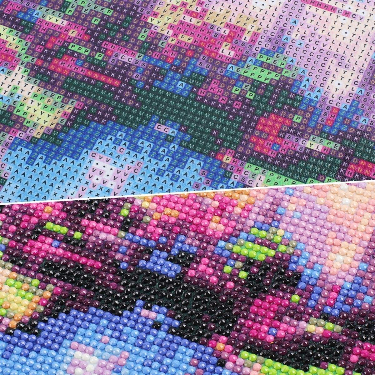 Diamond Painting Volwassenen Volledig Pakket 50 x 40cm Ronde