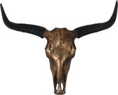 Buffelschedel skull brons - 63 cm breed