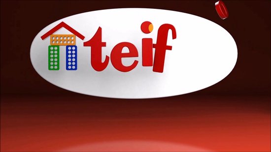 Teifoc® Bouwdoos – Watermolen Bouwset – 60 onderdelen – Echte mini Bakstenen met Cement, Kom en Troffel – Bouwpakket voor kinderen vanaf 6 jaar
