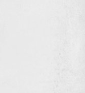 WOON-DISCOUNTER.NL - Adine Blanco 33 x 55 cm, €5,95 m2 -  Keramische tegel  - Mat wit - 533369