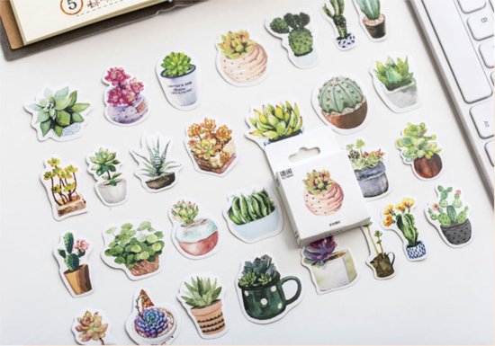 Bullet Journal Stickers – Planner Agenda Stickers – 50 Stuks – Planten – Succulent – Botanisch – Cartoon – Cactus – Scrapbook stickers – Laptop stickers – Telefoon stickers – Bujo stickers – Stickers volwassenen en kinderen