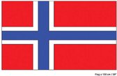 Vlag Noorwegen | Noorse vlag 150x90cm