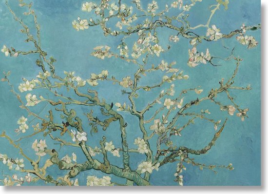 Poster, 50x70 cm, Amandelbloesem, Vincent van Gogh