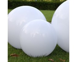 Tuinbol Ø 30 incl. spie