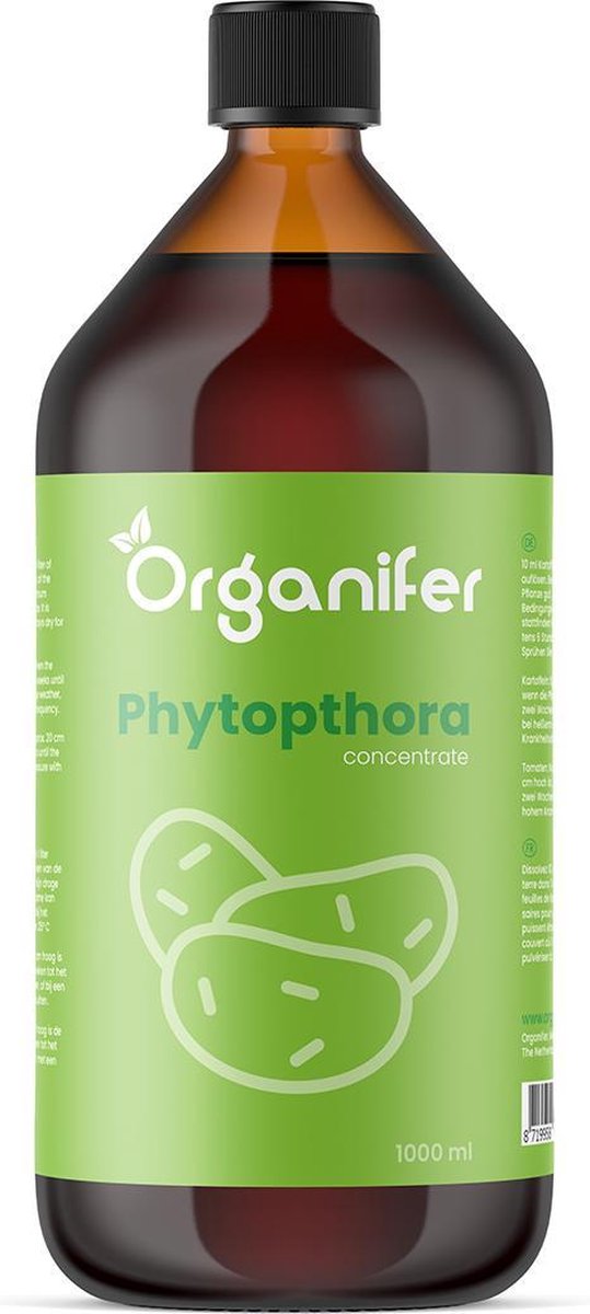 Phytophthora Concentraat - 1L Voor 1000m2 - Gebruik bij Aardappelziekte - Voorkomt en geneest Aardappelplanten en Tomatenplanten - Organifer