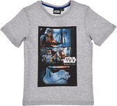 SW T-shirt