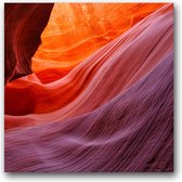 MN Collections - Schilderij - Nature Photography. - Geel, Rood En Oranje - 70 X 70 Cm