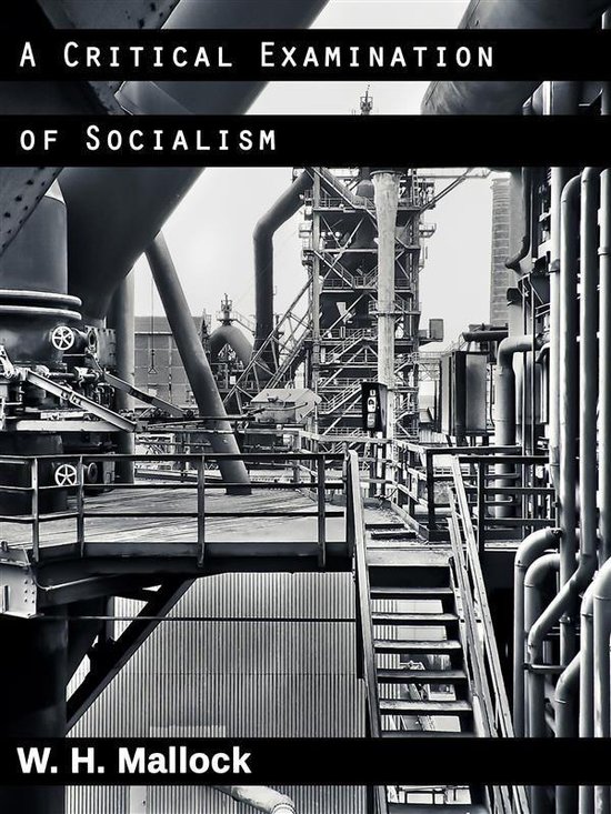 A Critical Examination of Socialism - cover