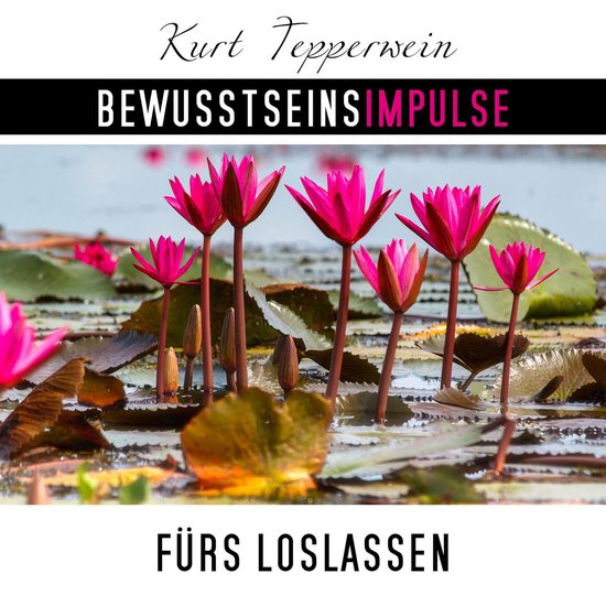Bewusstseinsimpulse fürs Loslassen - cover
