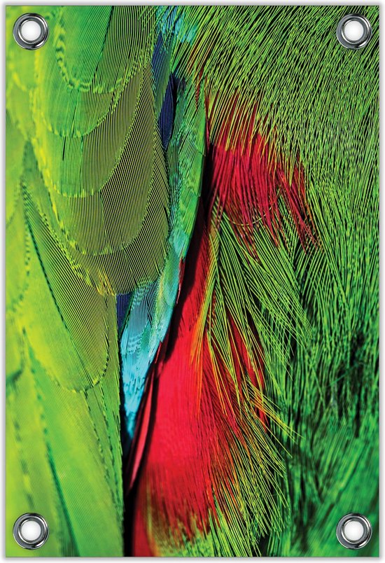 Tuinposter –Papegaaiveren in het Blauw/Groen/Rood– 30x40cm Foto op Tuinposter (wanddecoratie voor buiten en binnen)