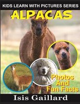 Alpacas