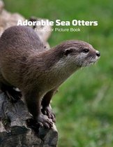 Adorable Sea Otters Full-Color Picture Book