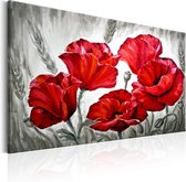 Schilderijen Op Canvas - Schilderij - Poppies in Wheat 90x60 - Artgeist Schilderij