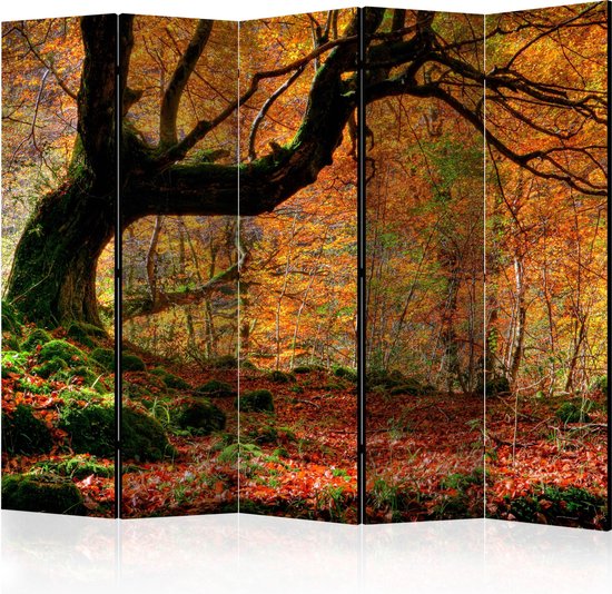 Foto: Kamerscherm scheidingswand vouwscherm autumn forest and leaves ii room dividers 225x172 artgeist vouwscherm