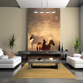 Fotobehang – Behangpapier - Fotobehang - Wilde paarden van de steppe 350x270 - Artgeist