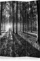 Kamerscherm - Scheidingswand - Vouwscherm - Grey Wilderness [Room Dividers] 135x172 - Artgeist Vouwscherm