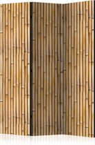 Kamerscherm - Scheidingswand - Vouwscherm - Amazonian Wall [Room Dividers] 135x172 - Artgeist Vouwscherm