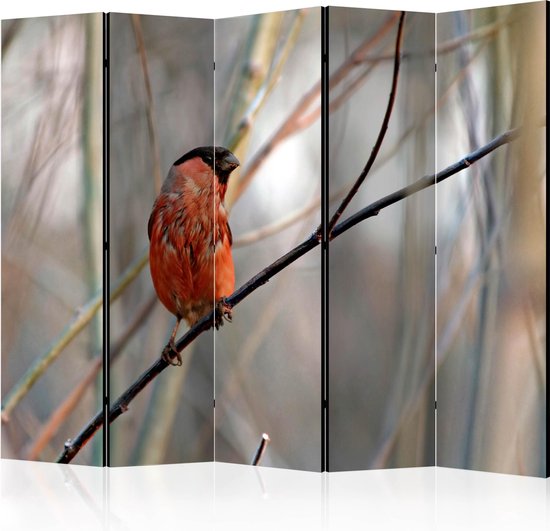 Foto: Kamerscherm scheidingswand vouwscherm bullfinch in the forest ii room dividers 225x172 artgeist vouwscherm