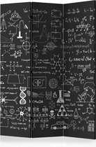 Kamerscherm - Scheidingswand - Vouwscherm - Science on Chalkboard [Room Dividers] 135x172 - Artgeist Vouwscherm