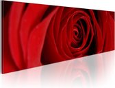 Schilderijen Op Canvas - Schilderij - Midnight rose 120x40 - Artgeist Schilderij