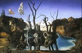 Puzzel 1000 stukjes - Swans Reflecting Elephants-Salvador Dali