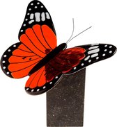 Vlinderurn oranje/rood - natuurstenen urn met handgemaakte vlinder van glas