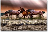 MN Collections - Schilderij - Animal Photography. - Zwart, Wit En Grijs - 75 X 50 Cm