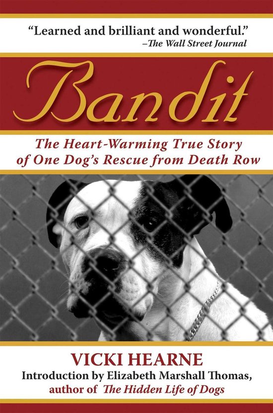 Bandit - cover