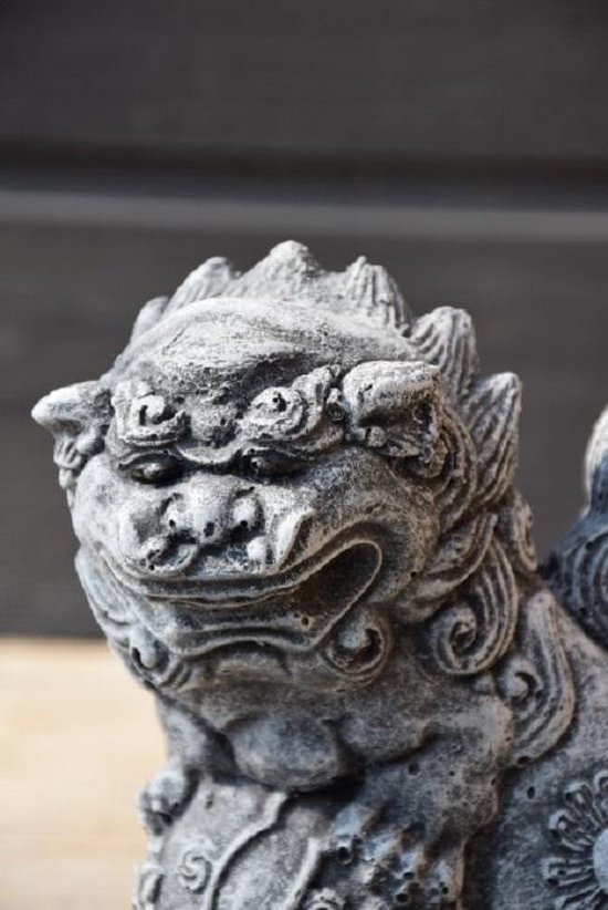 Grijze stenen foo dog tuinbeeld, detail van gezicht met felle uitdrukking.