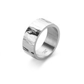 Twice As Nice Ring in edelstaal, geblutst 68