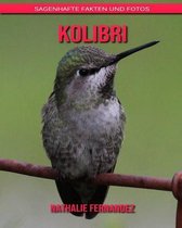 Kolibri