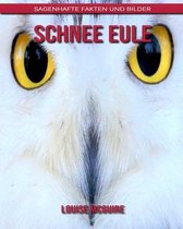 Schnee Eule