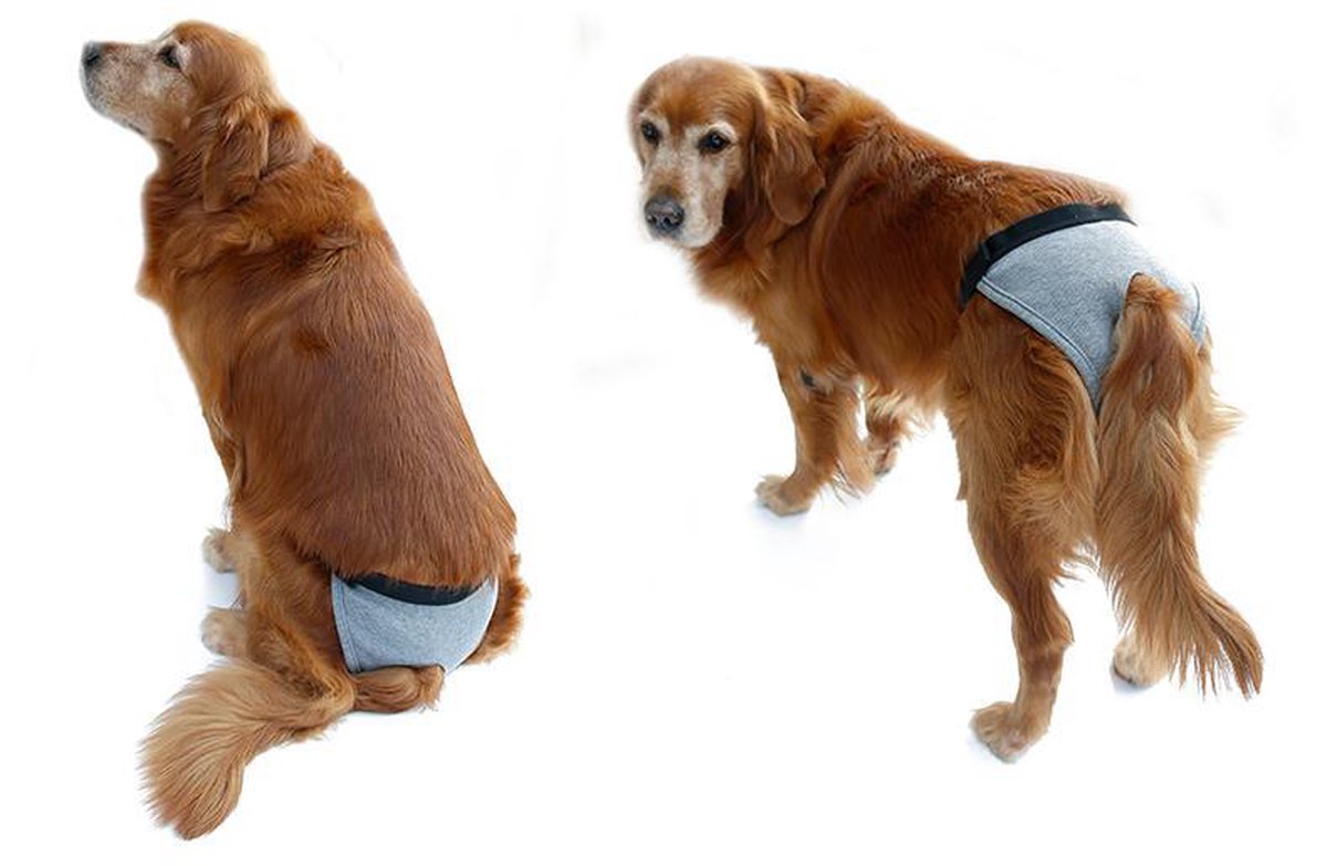 JM Hondenluiers voor teefjes - zeer absorberende, ademende hondenluier met microvezelkussen en waterdichte laag - menstruatiebroek voor honden, 3 stuks, wasbaar groot (geschikt voor taille van 19 tot