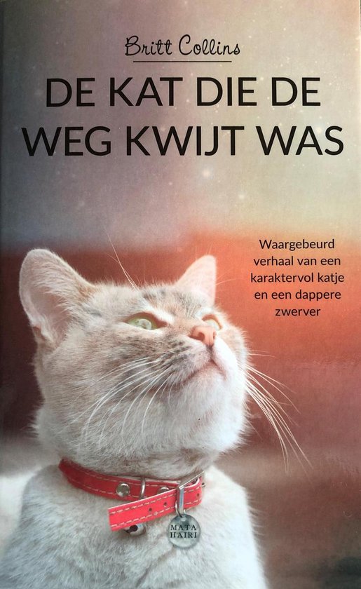 De kat die de weg kwijt was, Britt Collins 9789044358803 Boeken