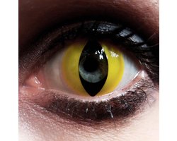 Wild Cat - 1 dag fun lenzen - Halloween Carnaval Party - XtremeEyez - per 2 - MesmerEyez