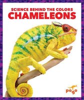 Science Behind the Colors- Chameleons